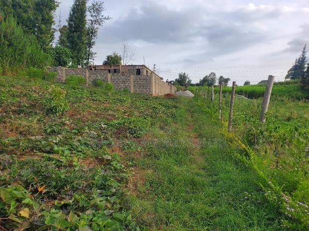 50 X 100 Residencial Plot for Sale in Githunguri Kiambu County - thumbnail 4