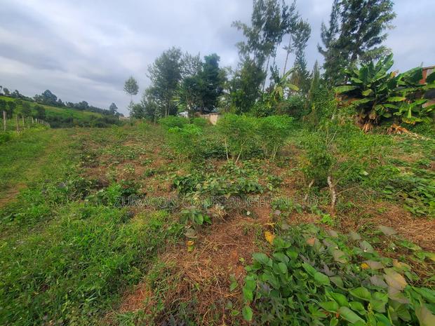 50 X 100 Residencial Plot for Sale in Githunguri Kiambu County - thumbnail 5