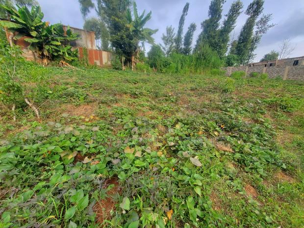 50 X 100 Residencial Plot for Sale in Githunguri Kiambu County - thumbnail 6