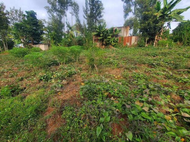 50 X 100 Residencial Plot for Sale in Githunguri Kiambu County - thumbnail 7
