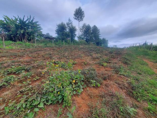 50 X 100 Residencial Plot for Sale in Githunguri Kiambu County - thumbnail 8