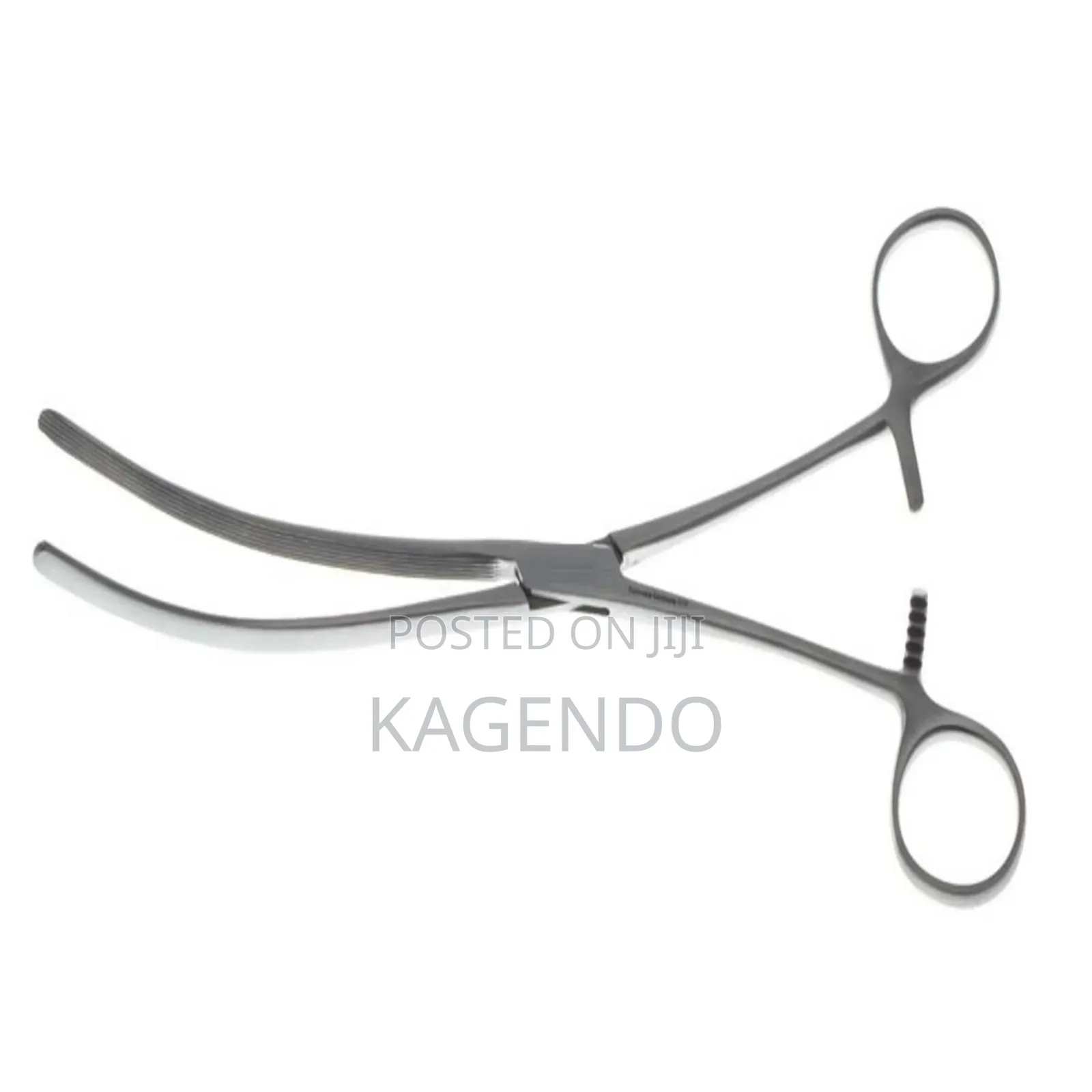 Intestinal Forceps CVD 10 Inch
