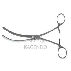 Intestinal Forceps CVD 10 Inch - thumbnail 2