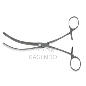 Intestinal Forceps CVD 10 Inch