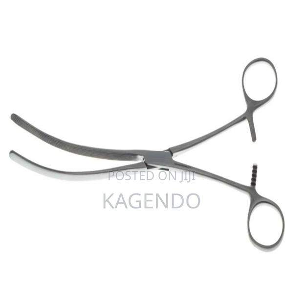 Intestinal Forceps CVD 10 Inch - main view