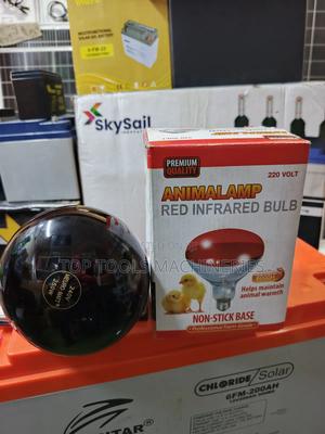 Infrared Bulb for Chicken/Animals - thumbnail 2