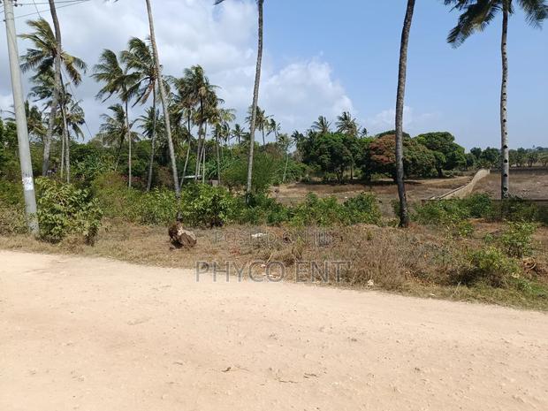 Quarter Acre Plot for Sale - thumbnail 3