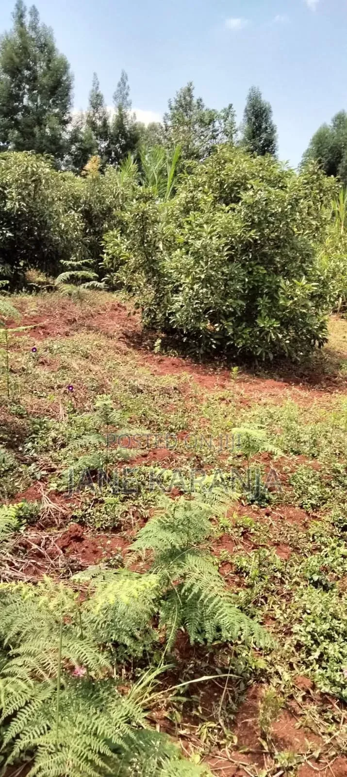 5.2 Acres Commercial Land for Sale Gathage Gatundu South