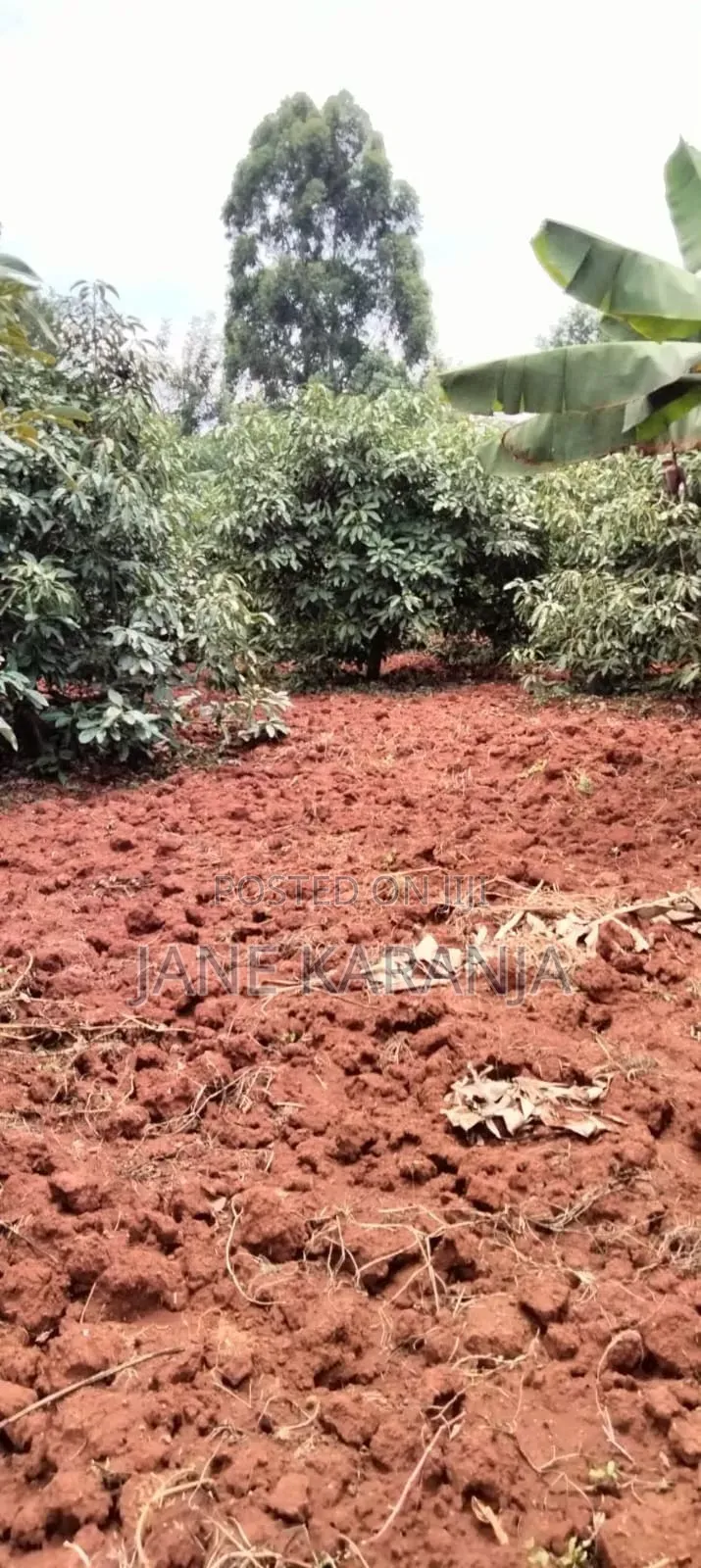 5.2 Acres Commercial Land for Sale Gathage Gatundu South