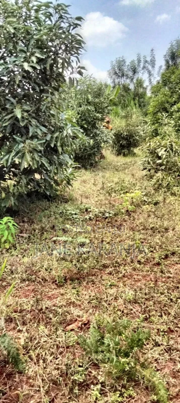 5.2 Acres Commercial Land for Sale Gathage Gatundu South