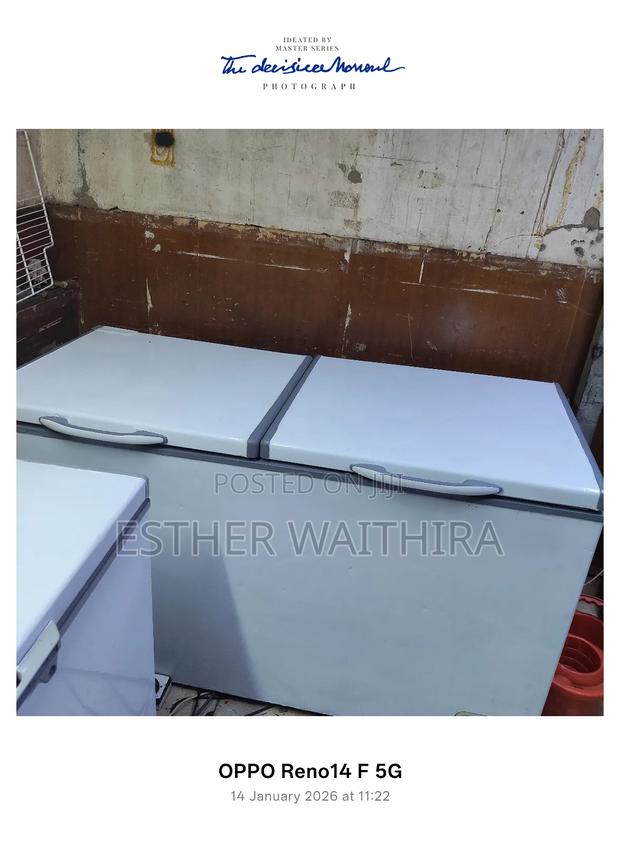 Ramtoms 500litres Neat Freezer on Sale