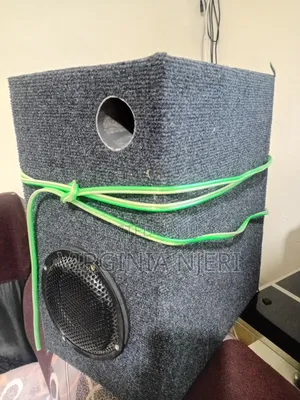 Bass Speaker With Cabinet