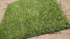 Grass Capet