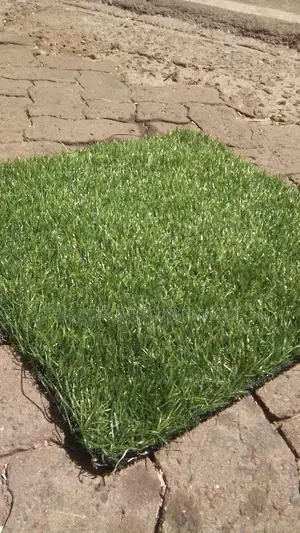 Easy Maintenance Grass Capet