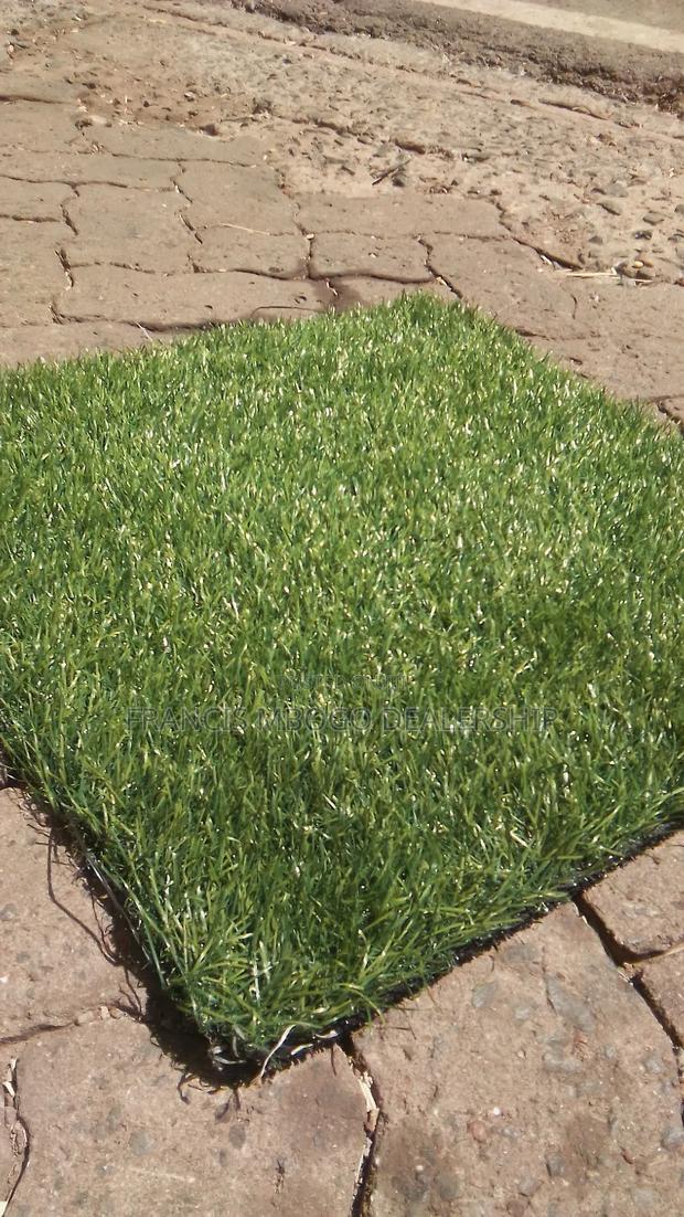 Easy Maintenance Grass Capet - main view