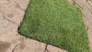 Easy Maintenance Grass Capet