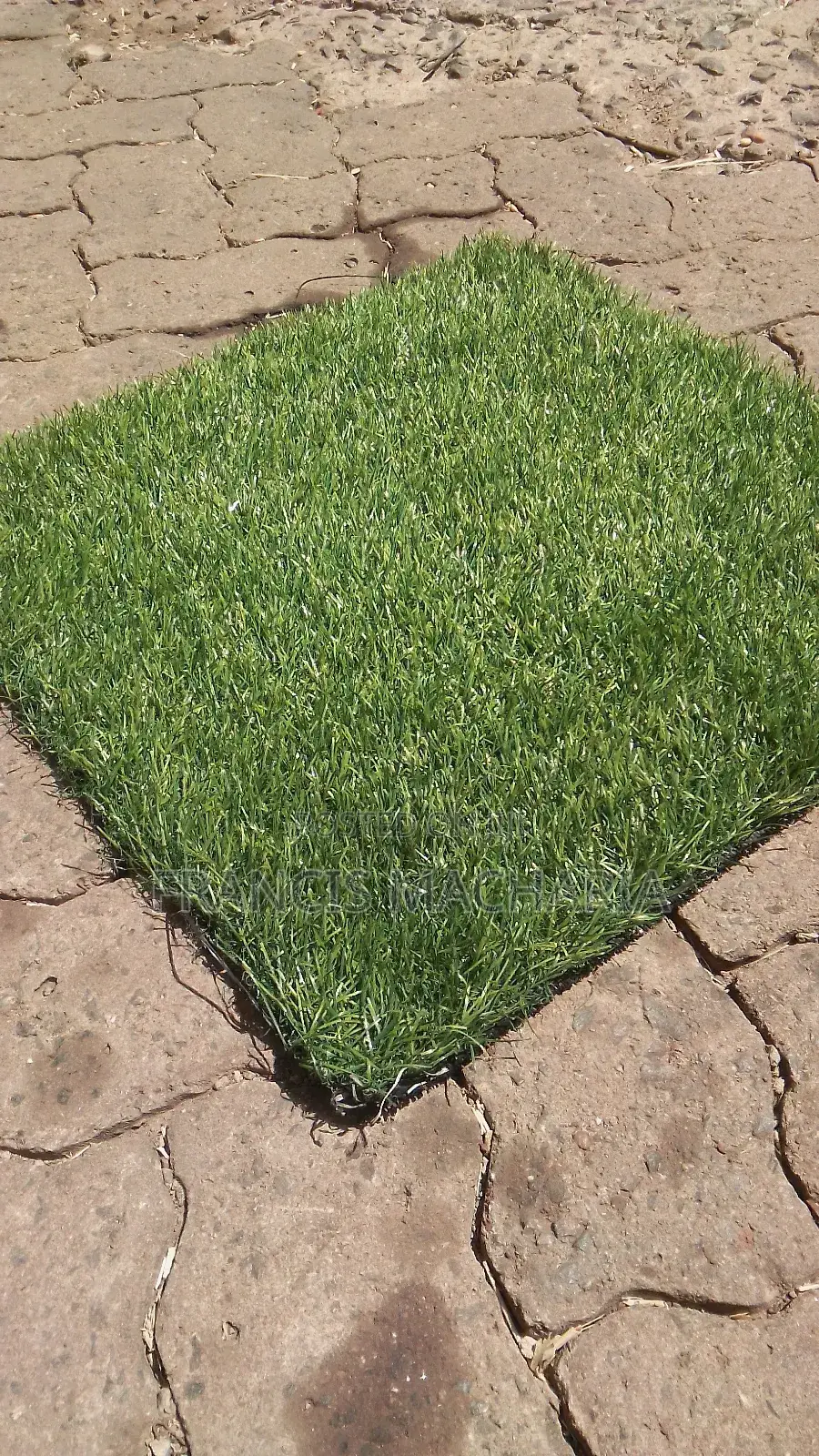 Arabic Grass Capet