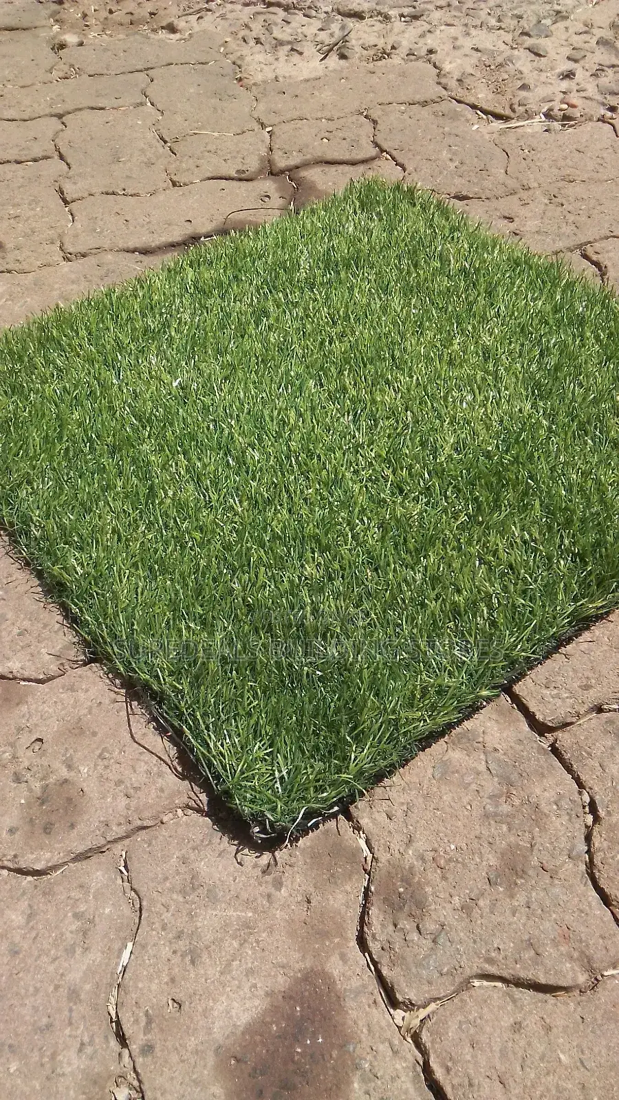 Arabic Grass Capet