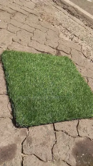 Barcon Grass Capet New