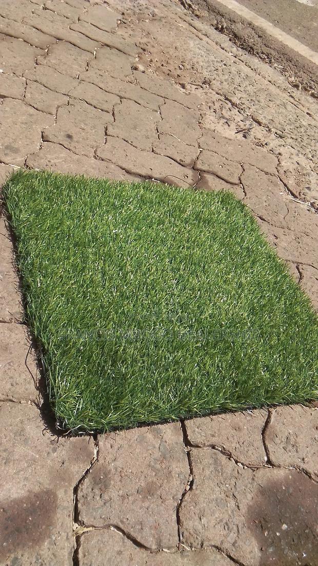 Barcon Grass Capet - main view