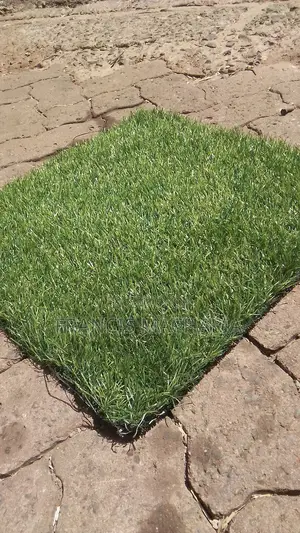 Barcon Grass Capet