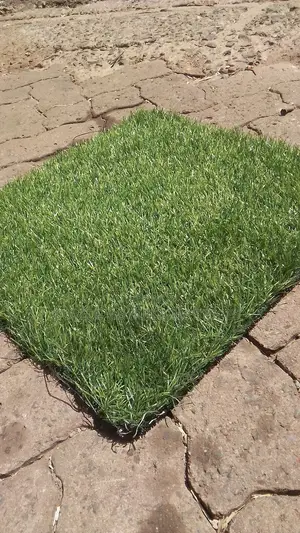 Barcon Grass Capet New