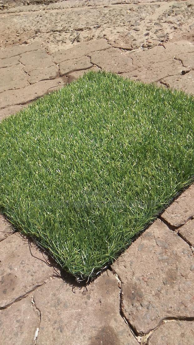 Barcon Grass Capet - thumbnail 2