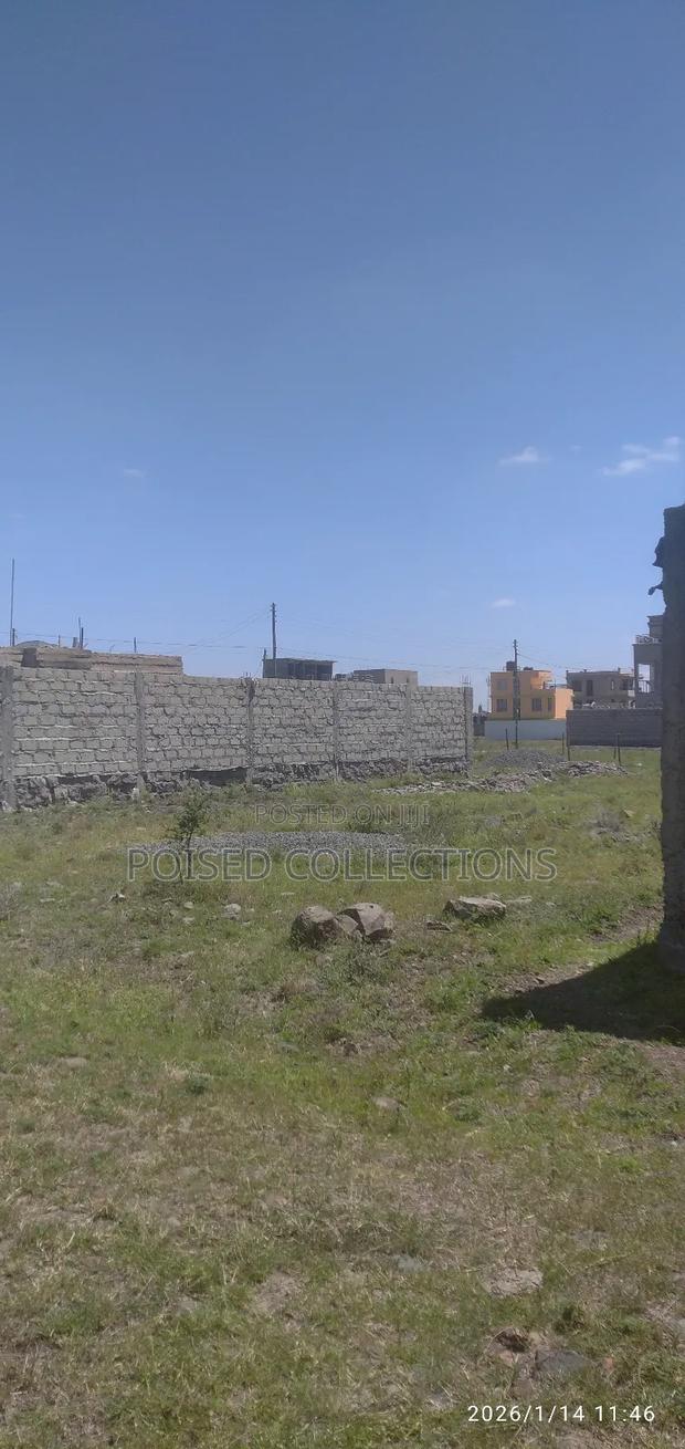 Katani Prime Plot - thumbnail 4