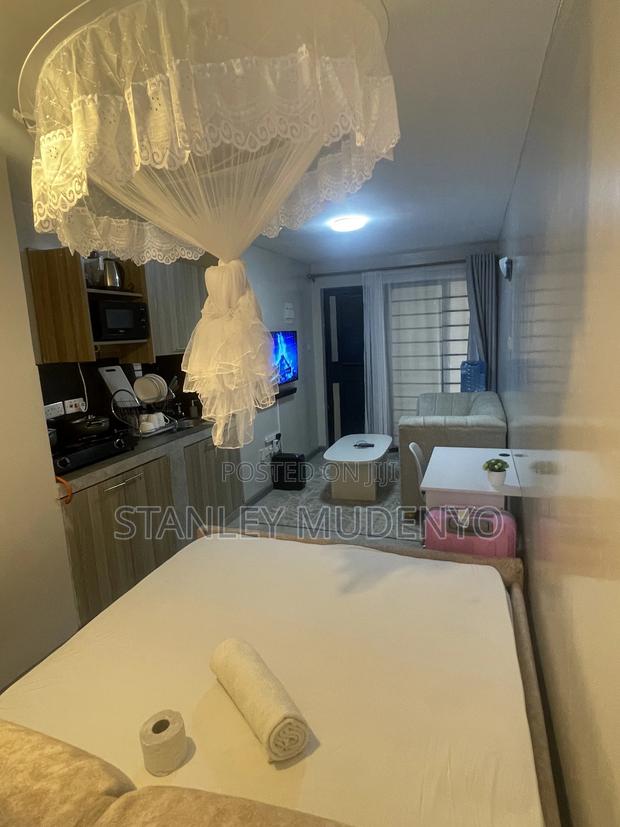 Studio Air BNB at Tsavo Fedha - thumbnail 16