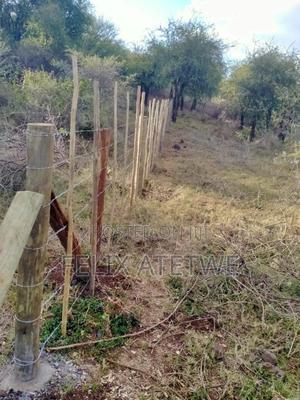 Land - 7 Acres - thumbnail 2