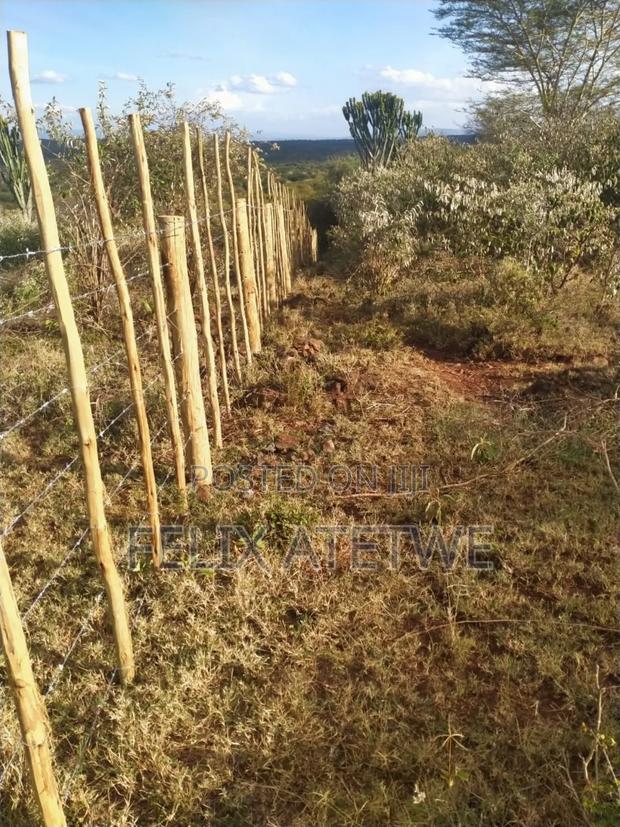 Land - 7 Acres - thumbnail 3