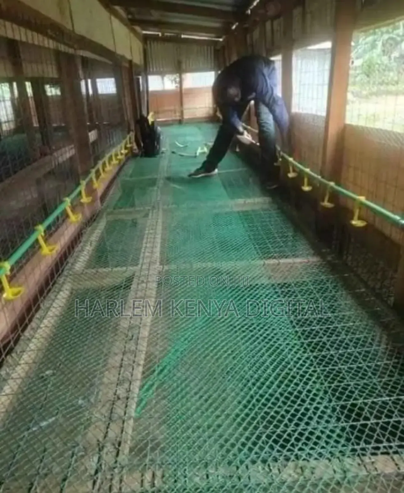 Mobile Coop Builders