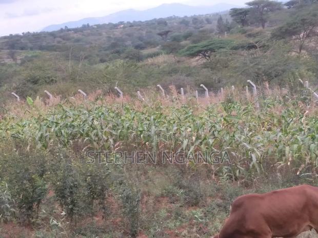 Quarter Acre Land and a 50 by 100 Plot With Ready Transfer for Sale - main view