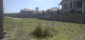 Katani Prime Plot