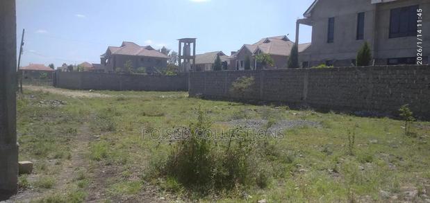 Katani Prime Plot - thumbnail 5