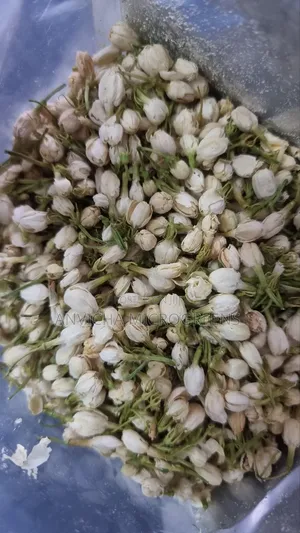 Jasmine Flower