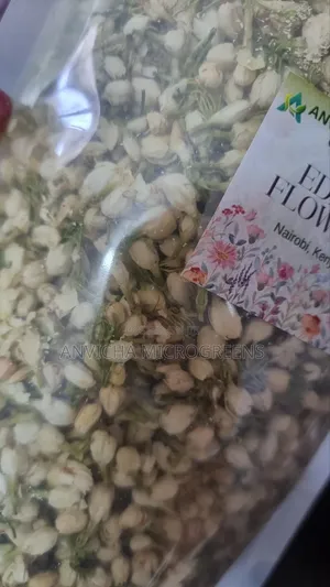 Jasmine Flower