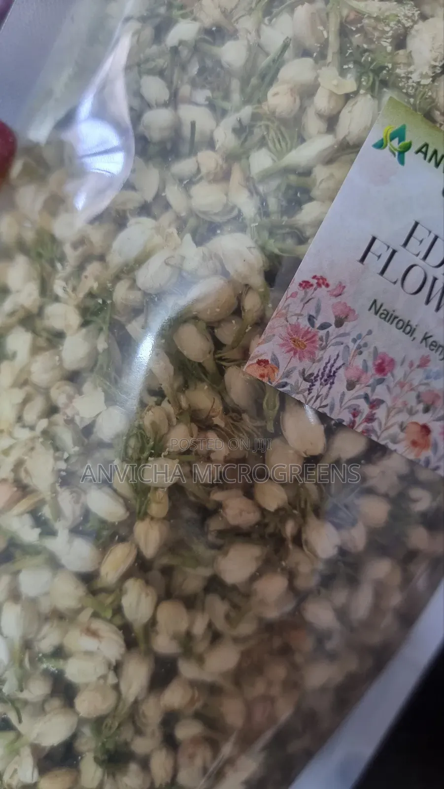 Jasmine Flower