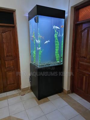 Space-Saving Tall Glass Aquarium - Complete Set - main view