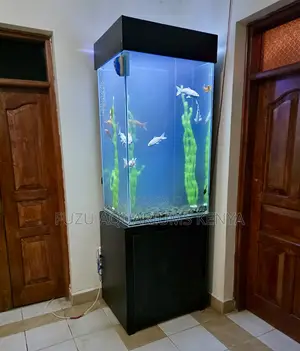 High-End Executive Aquarium for Office Reception