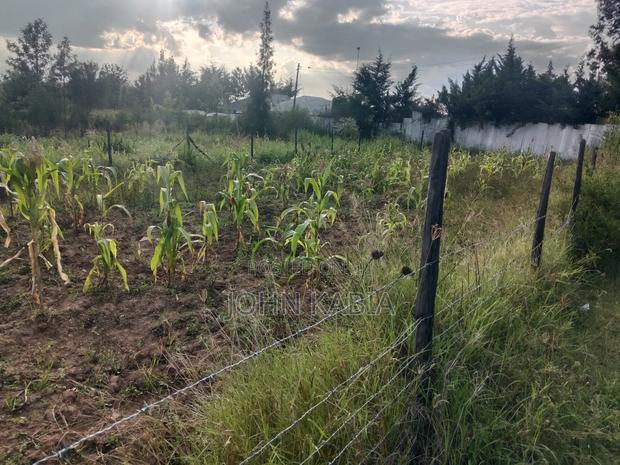 Plot for Sale - thumbnail 2