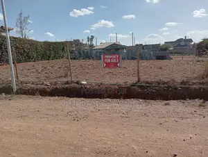 100*100 Land for Sale