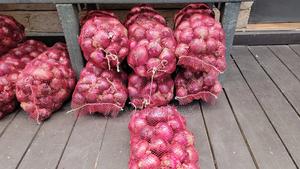 Onions for Sale - main view