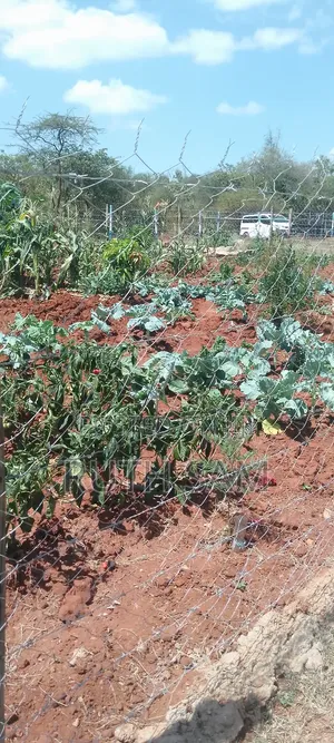Plots In Makutano-mwea @250k