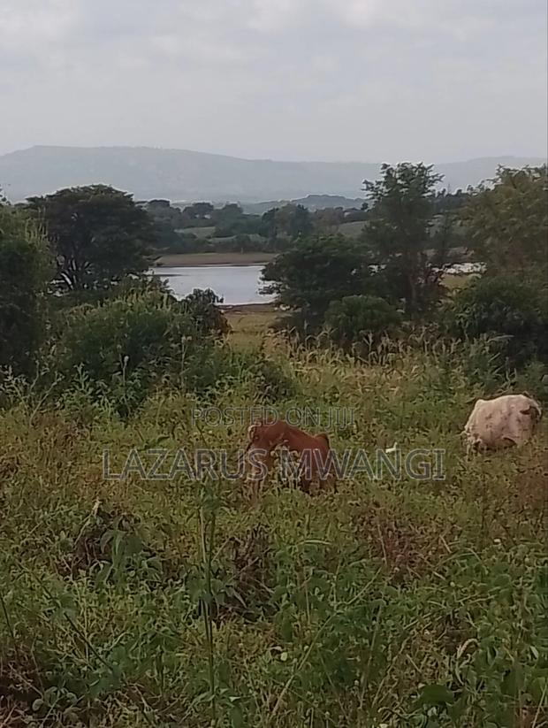 2 Acres of Fertile Land Near River Tana Mwea Embu