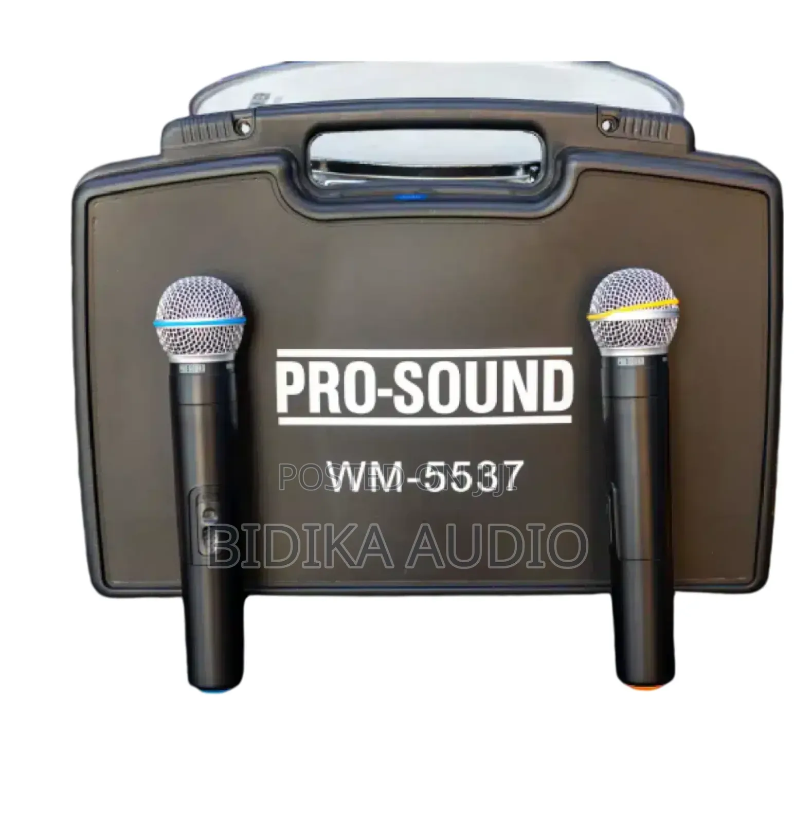 Pro-Sound Wm5537 Dual Wireless Microphones