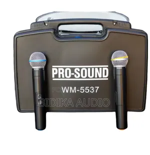 Pro-Sound Wm5537 Dual Wireless Microphones