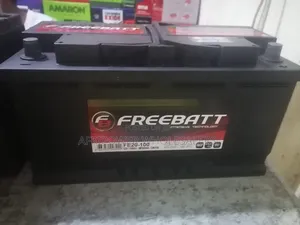 Freebatt Din 100 Car Battery