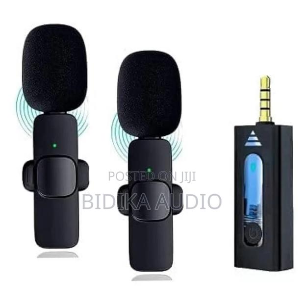 Dual Wireless Microphone - main view
