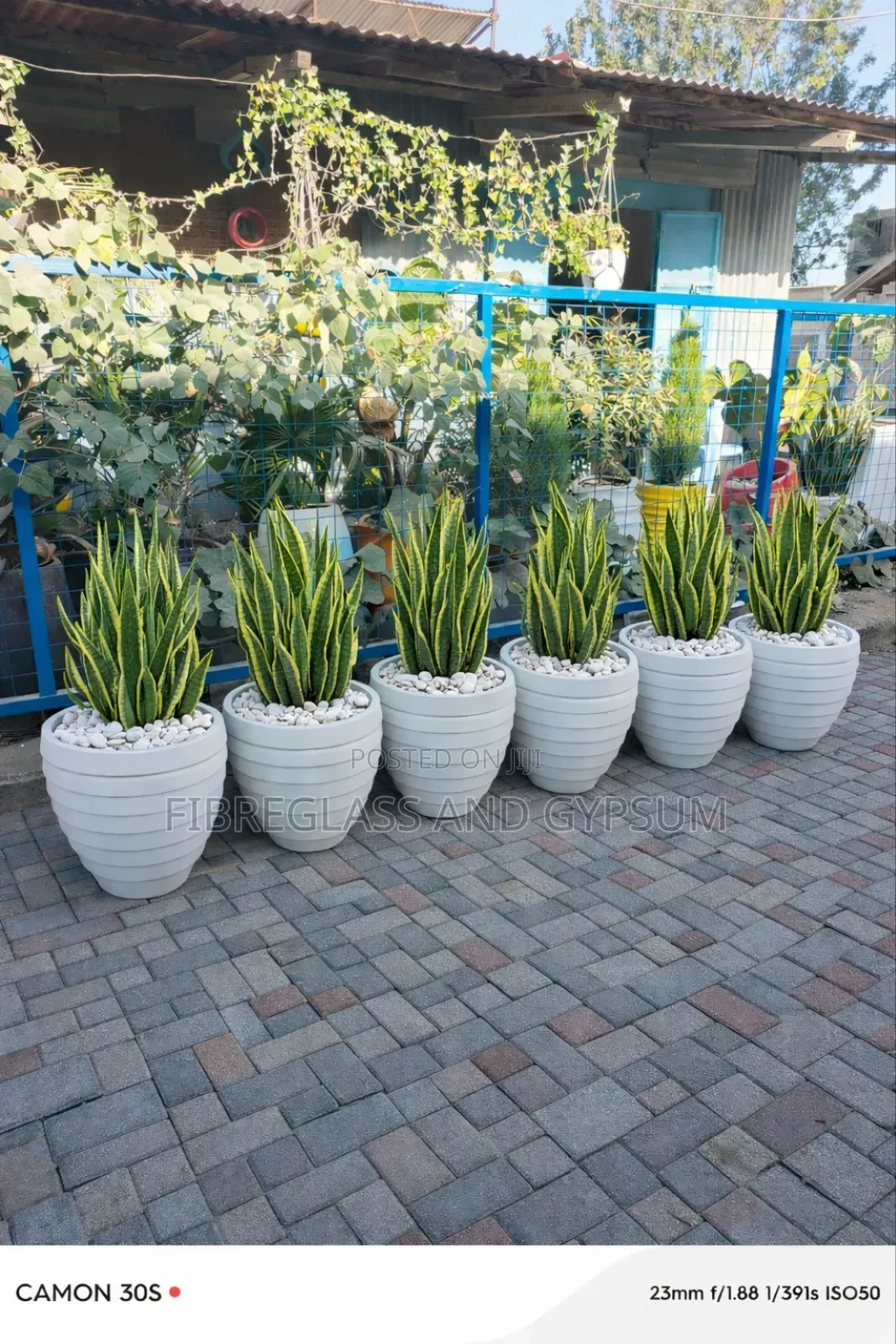 Fibreglass Pots ( Exara)